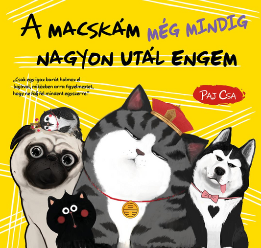 A macskám még mindig nagyon utál engem (Macska és Kutya 3.)